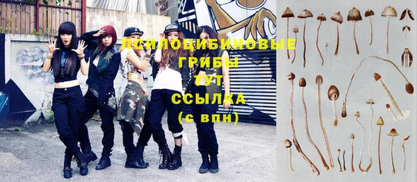 прущий лед Аркадак