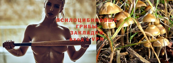 прущий лед Аркадак