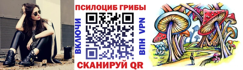 закладка  Рассказово  Псилоцибиновые грибы мухоморы 